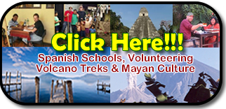 Your Best Source for learn spanish in antigua guatemala in Tikal, Guatemala